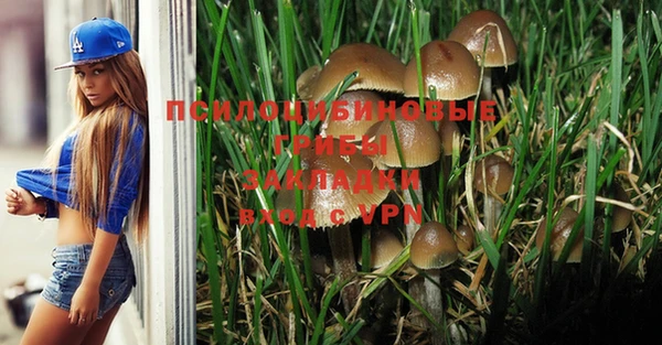 мяу мяу кристалл Богданович
