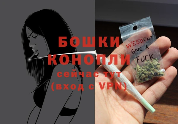 СК Богородицк