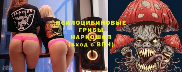 СК Богородицк