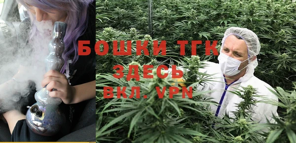 мяу мяу кристалл Богданович