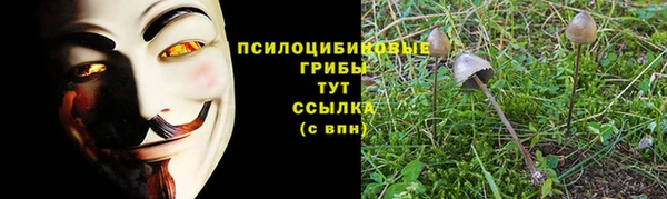 бутират Бородино